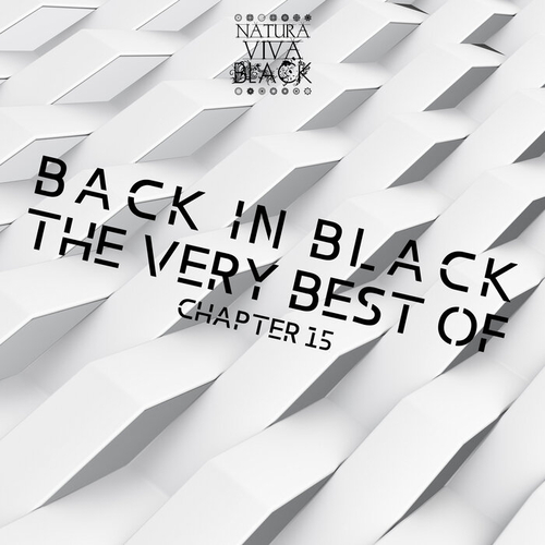 VA - Back In Black! (The Very Best Of) Chapter 15 [NATBLACKBEST20211]